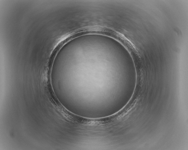 X0000116491166200912091415