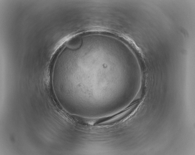 X0000116491167200912091415