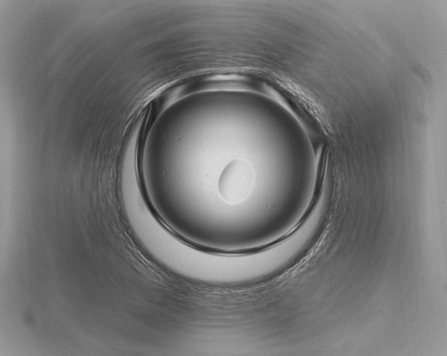 X0000116491169200912091415