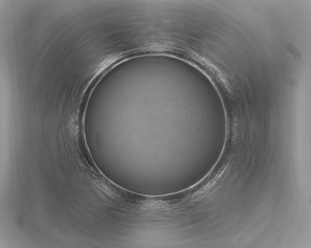 X0000116491170200912091415