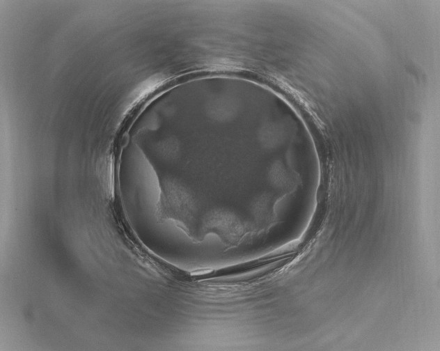 X0000116491171200912091415