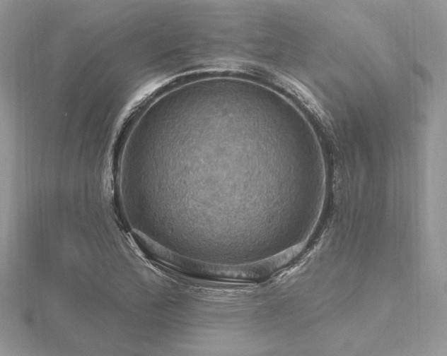 X0000116491172200912091415