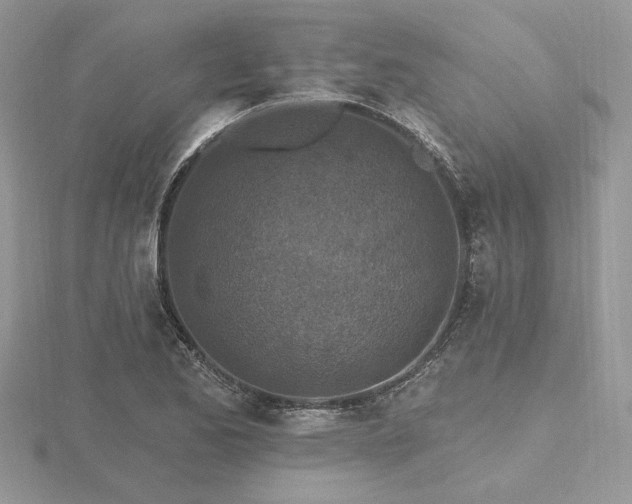 X0000116491173200912091415