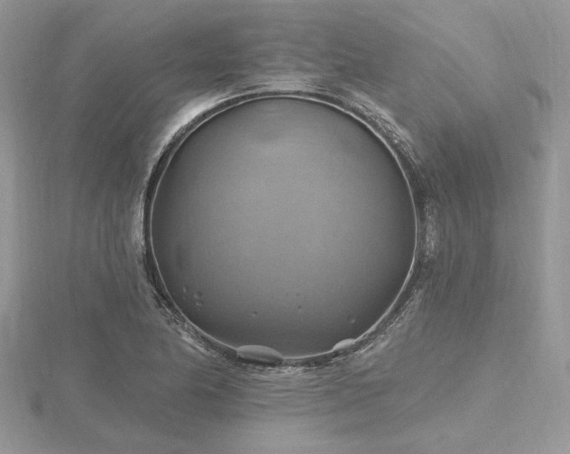 X0000116491174200912091415