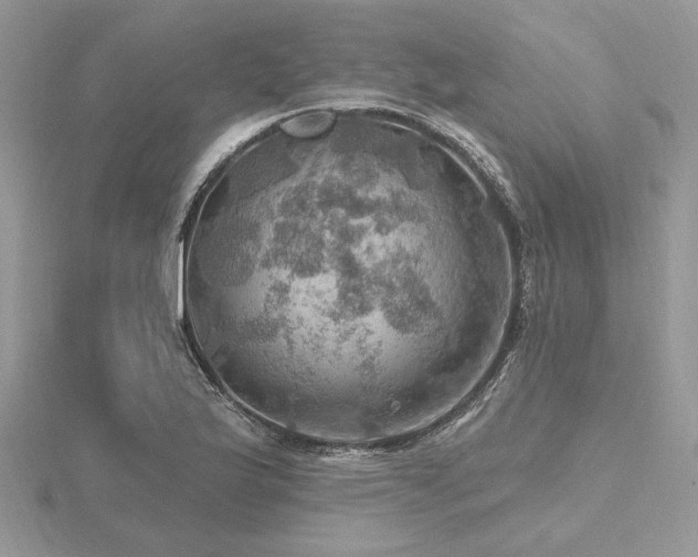 X0000116491175200912091415