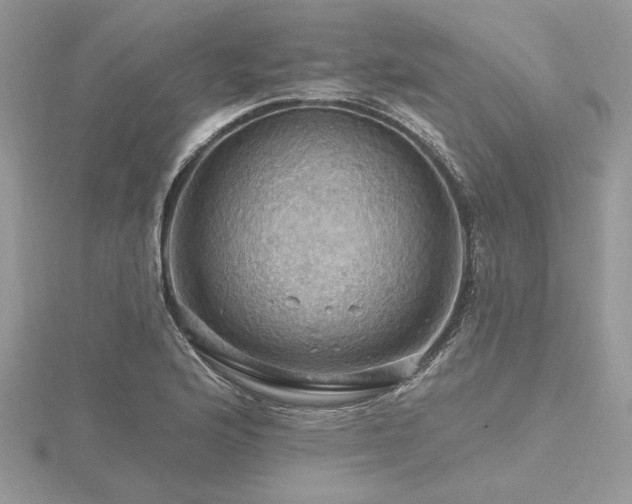 X0000116491176200912091415