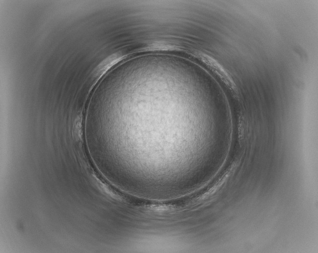 X0000116491177200912091414