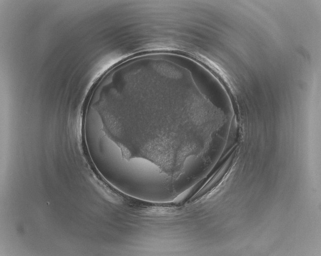 X0000116491179200912091414