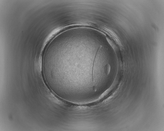 X0000116491180200912091414