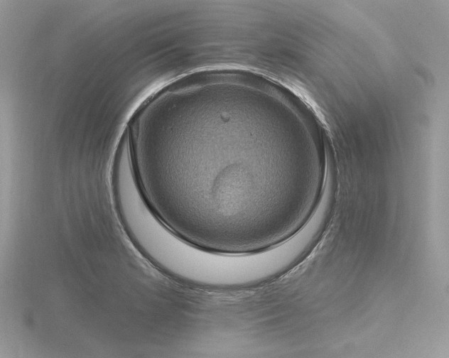 X0000116491181200912091414