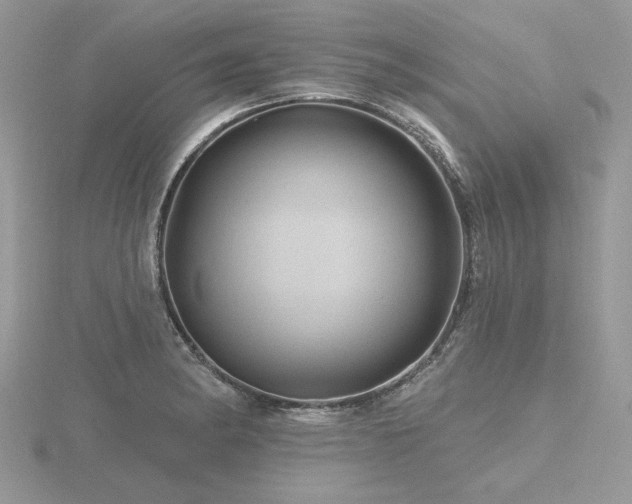 X0000116491182200912091414