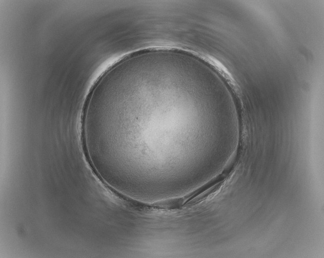 X0000116491183200912091414