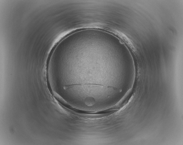 X0000116491184200912091414