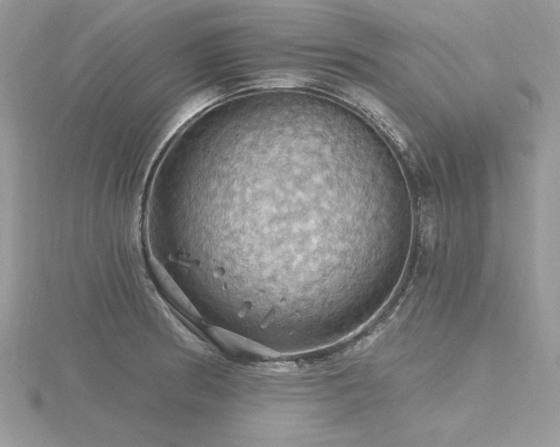 X0000116491186200912091414