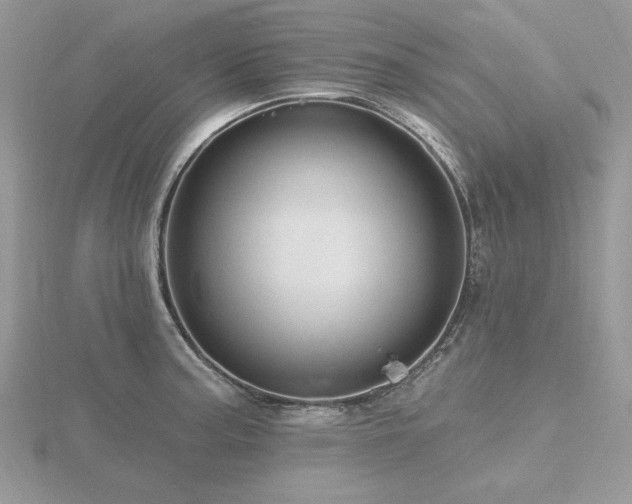 X0000116491187200912091414