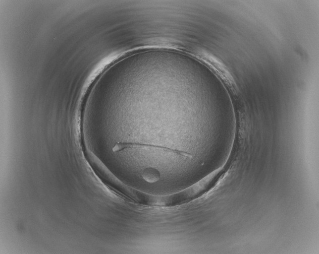 X0000116491188200912091414