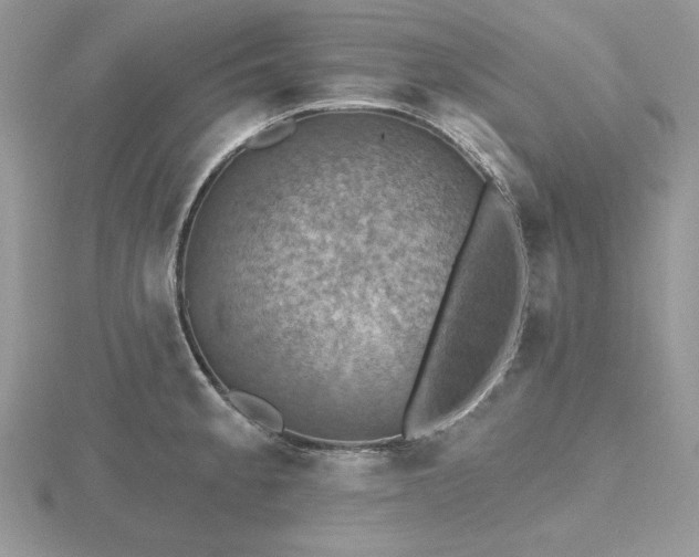 X0000116491189200912091414