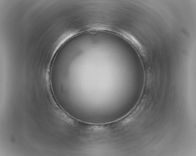 X0000116491190200912091414