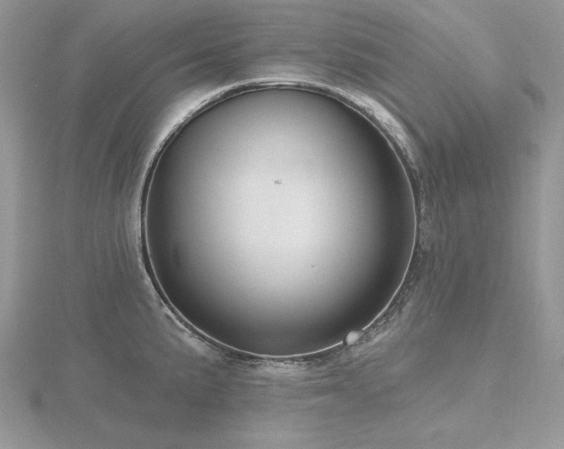 X0000116491191200912091414