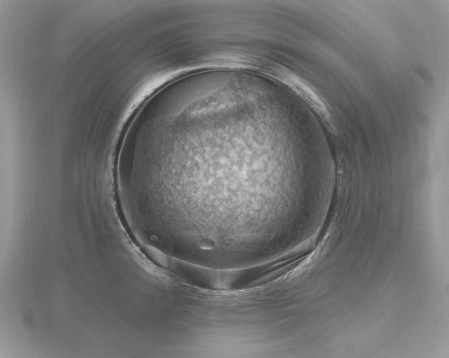 X0000116491192200912091414