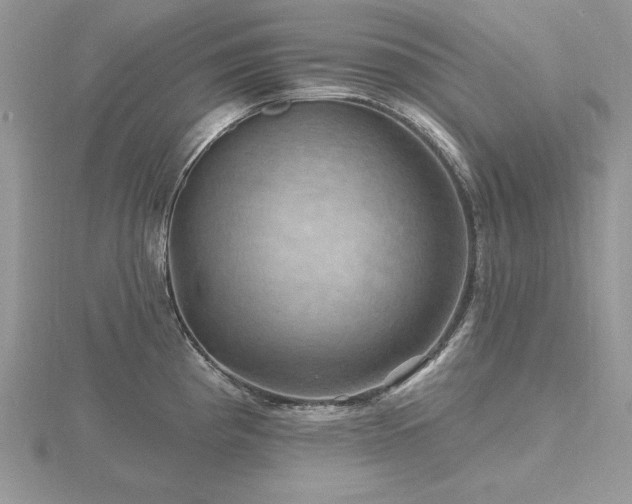 X0000116491193200912091414