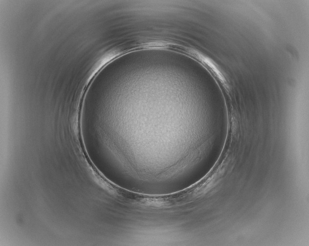 X0000116491194200912091414