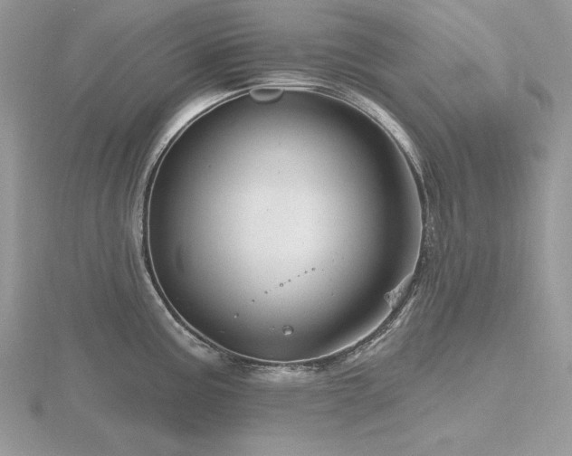 X0000116491195200912091414