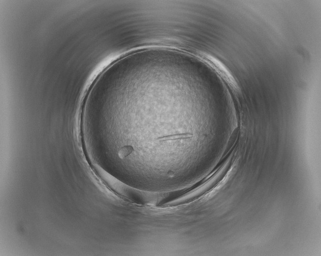 X0000116491196200912091414