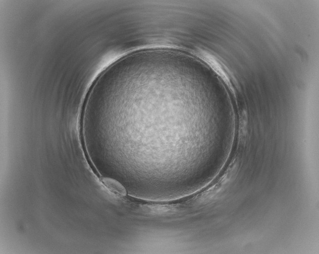 X0000116491197200912091414