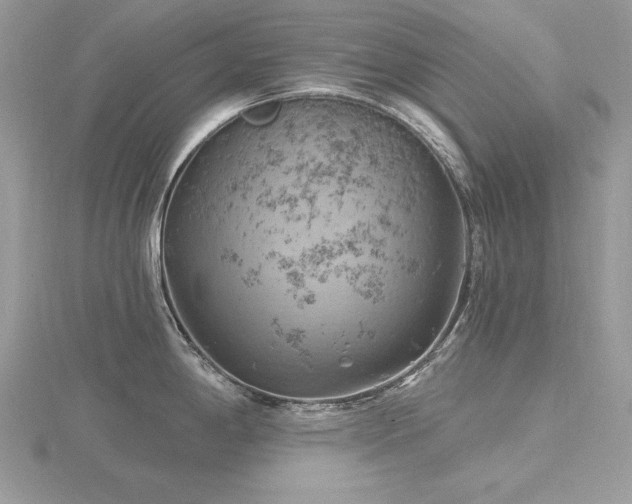 X0000116491198200912091414