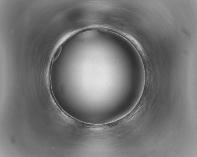 X0000116491199200912091414