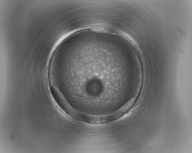 X0000116491200200912091414