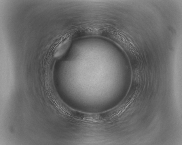 X0000116491201200912091414