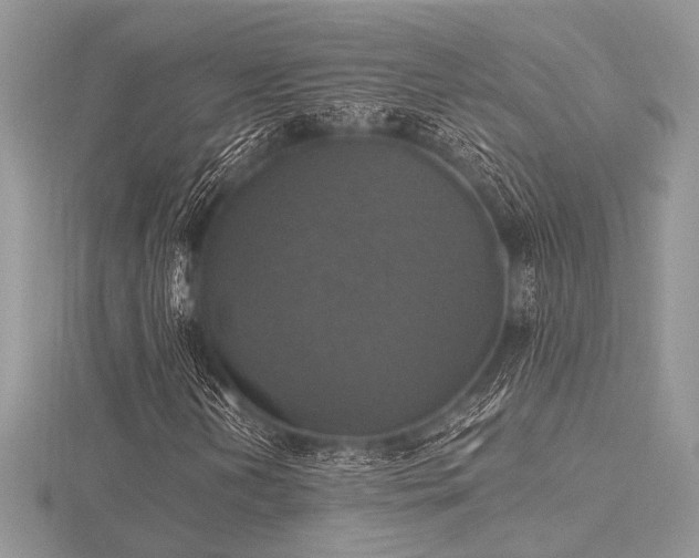 X0000116491202200912091414