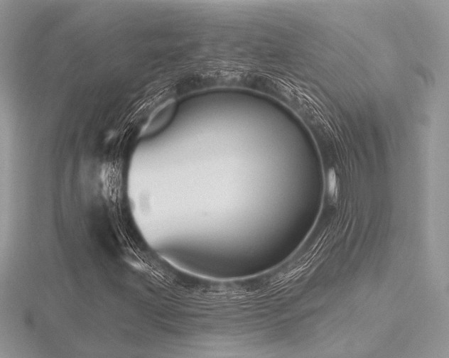 X0000116491203200912091414