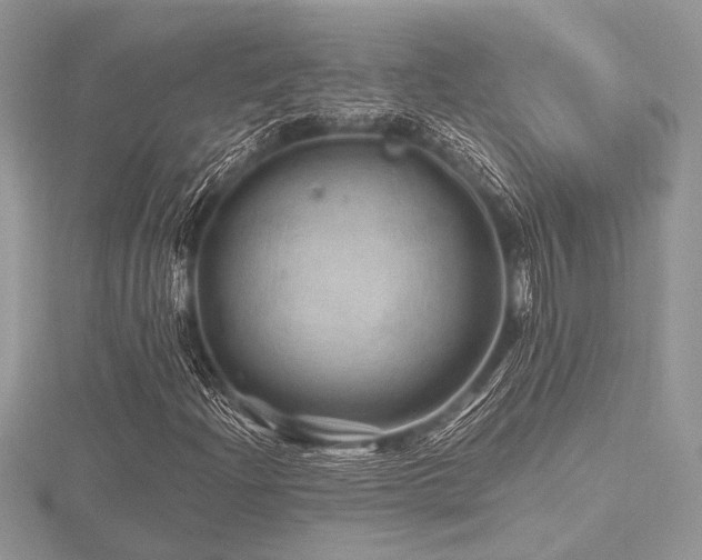 X0000116491204200912091414