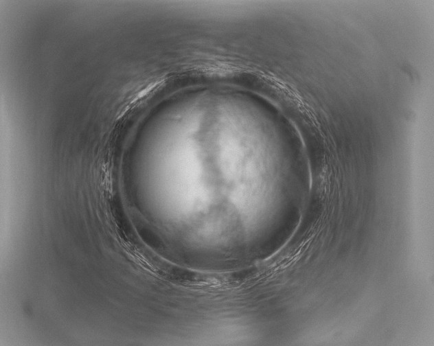 X0000116491205200912091414