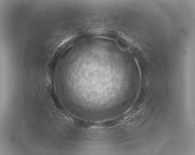 X0000116491206200912091414