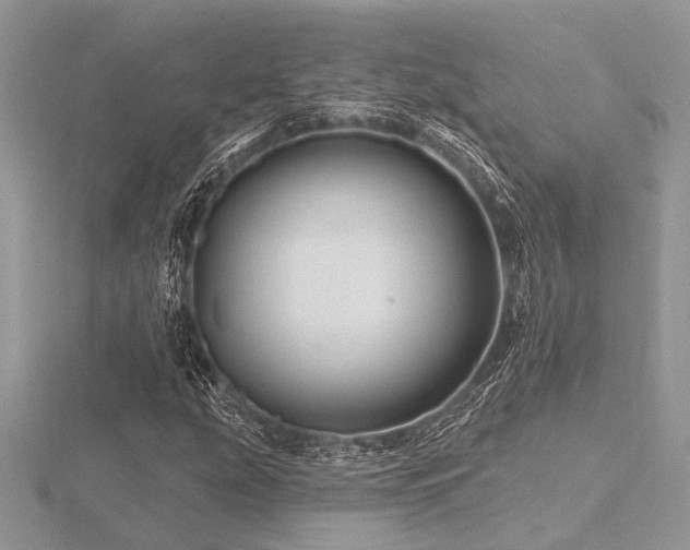 X0000116491207200912091414