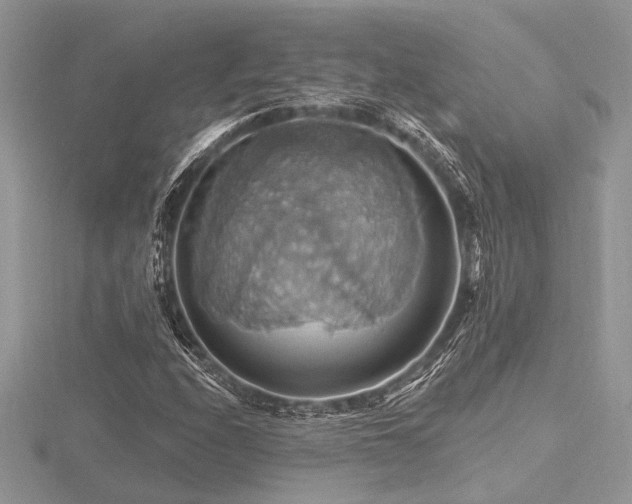 X0000116491208200912091414