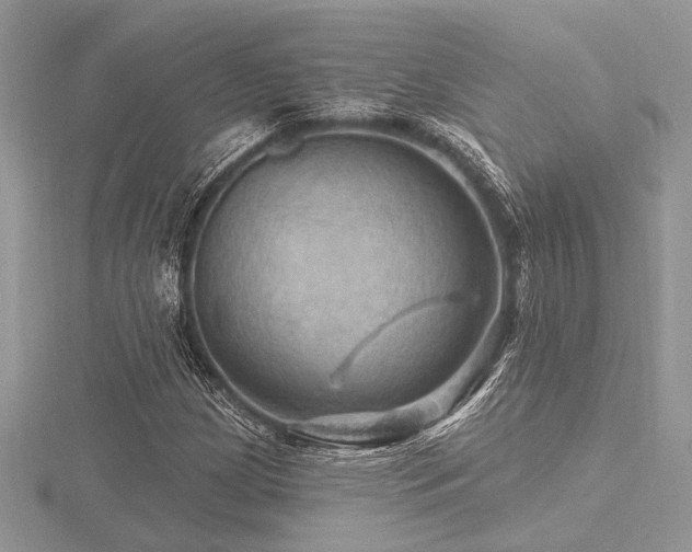 X0000116491209200912091414