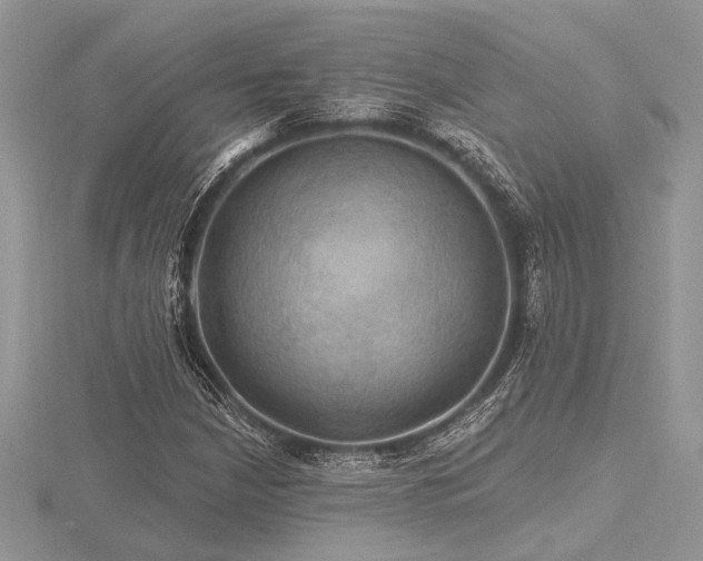 X0000116491210200912091414