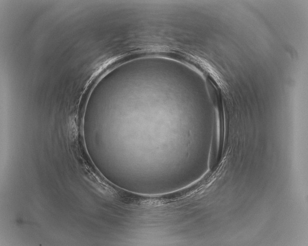 X0000116491212200912091414