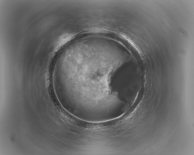 X0000116491213200912091414