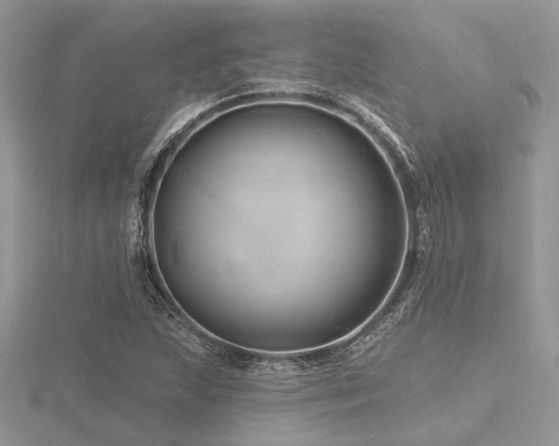 X0000116491215200912091414