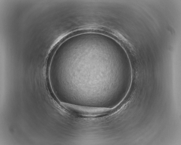 X0000116491216200912091414