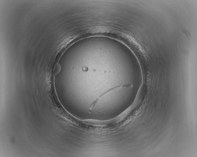 X0000116491217200912091414