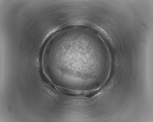 X0000116491218200912091414