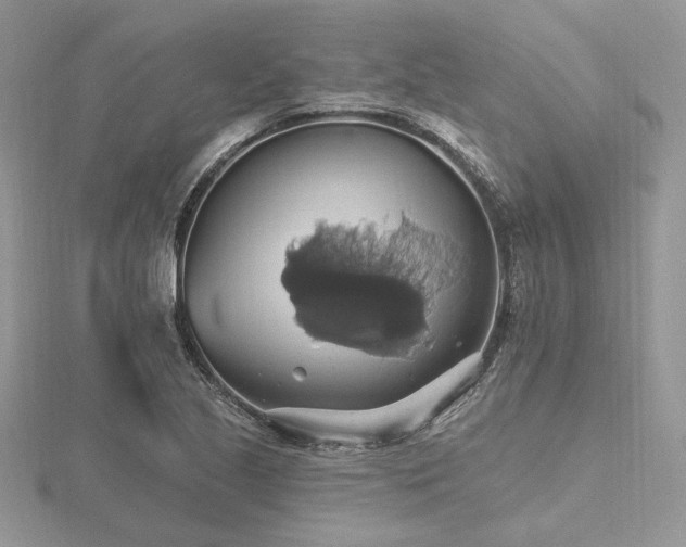 X0000116491221200912091414