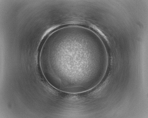 X0000116491222200912091414